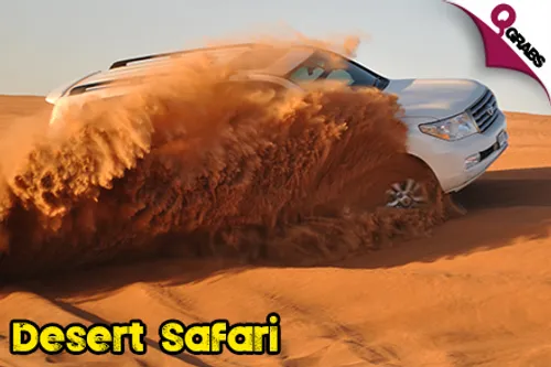 From QR100 Child/QR175 Adult, Explore the Desert with a Half Day Safari Adventure With OR Without Camel Rides! (Up to QR300/QR500 Value)